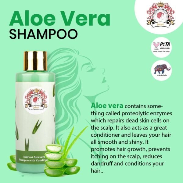 100-aloevera-shampoo-with-conditioner-indrani-original-imagw2k9zpvzfhnh.jpeg 100-aloevera-shampoo-with-conditioner-indrani-original-imagw2k9zpvzfhnh.jpeg